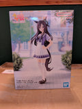 Umamusume: Pretty Derby - Mejiro Dober (Bandai Spirits)