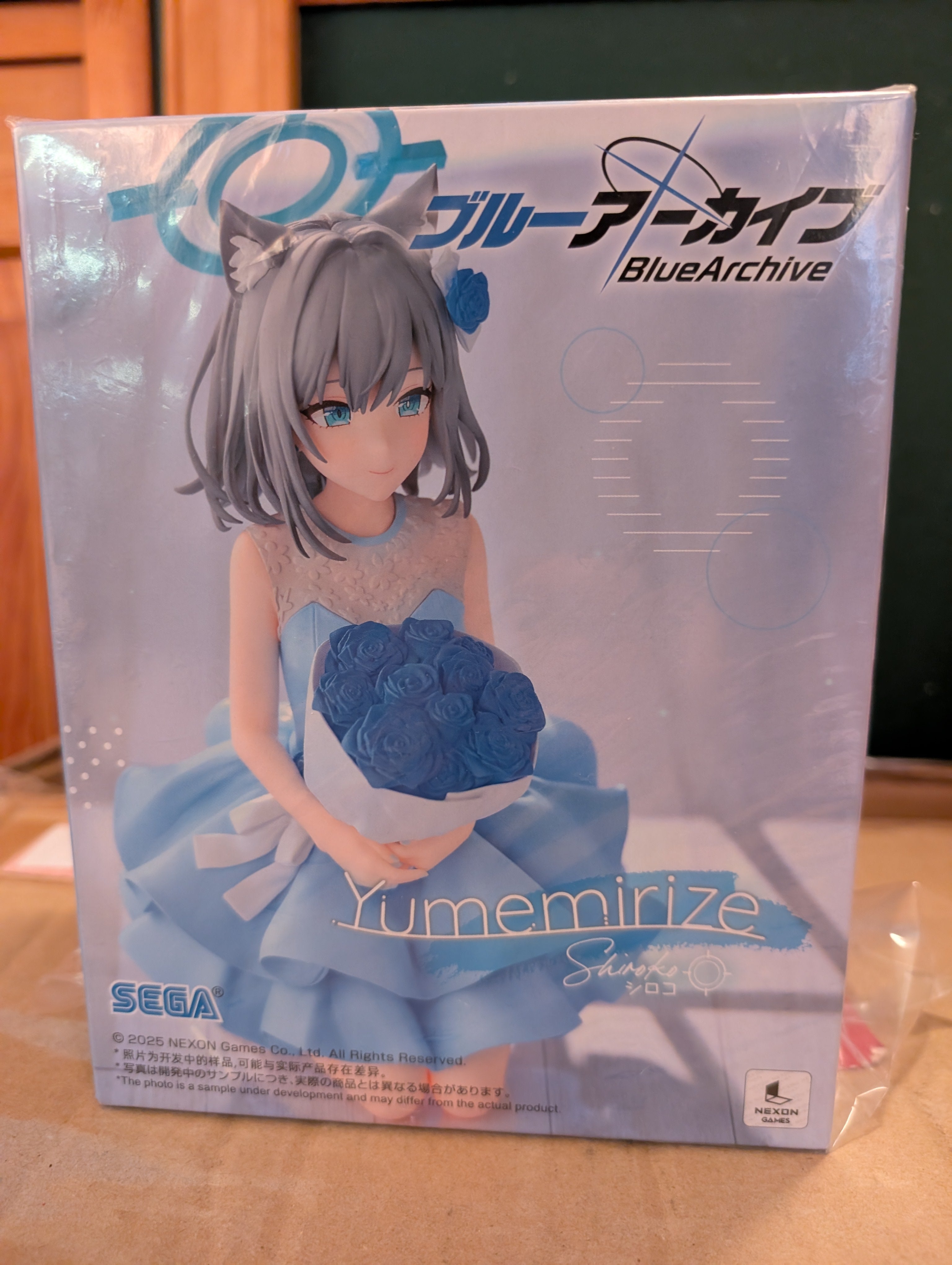 Blue Archive - Sunaookami Shiroko - Yumemirize (Sega Fave)