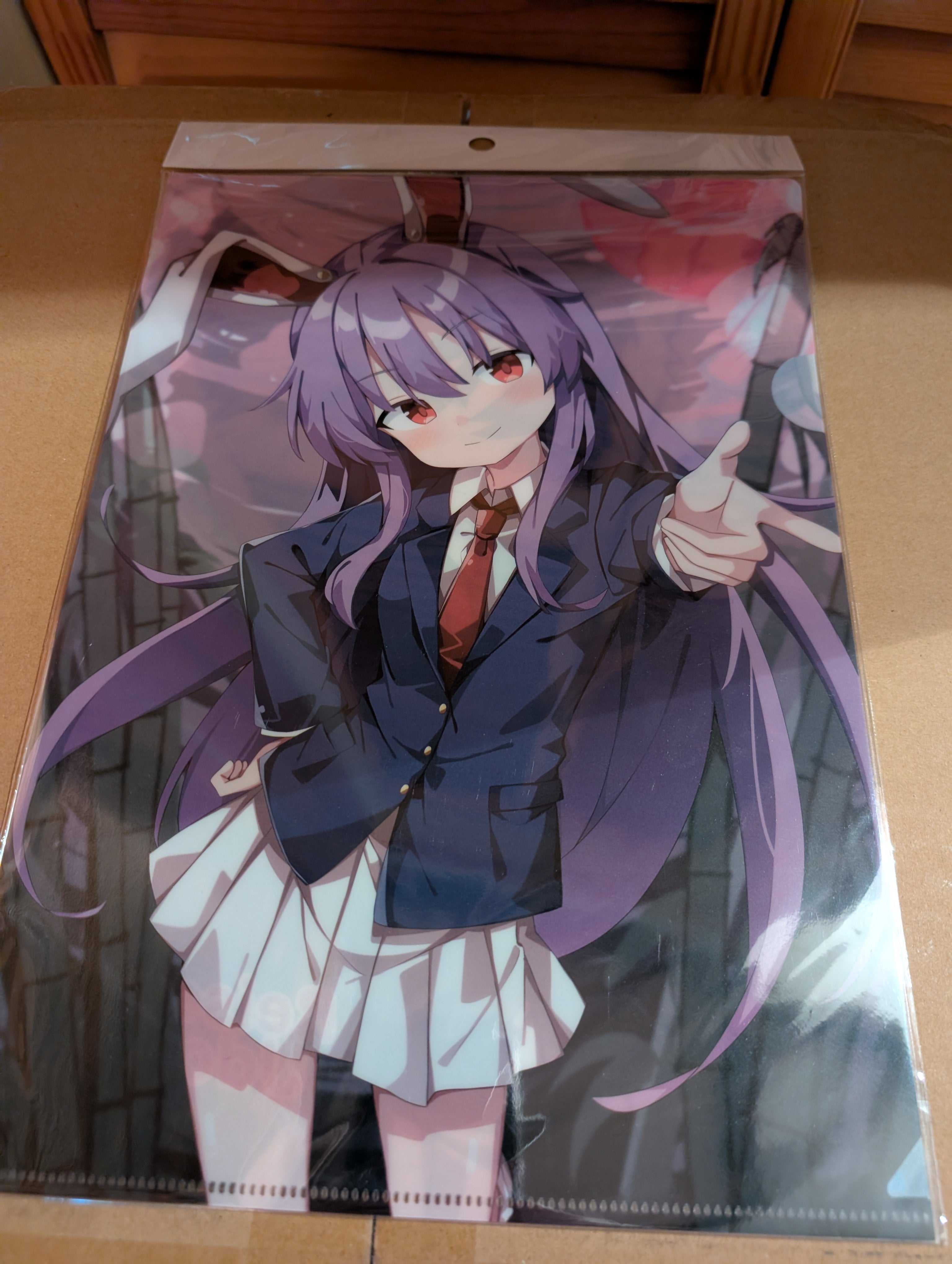Touhou Project - Reisen Udongein Inaba - Clear File