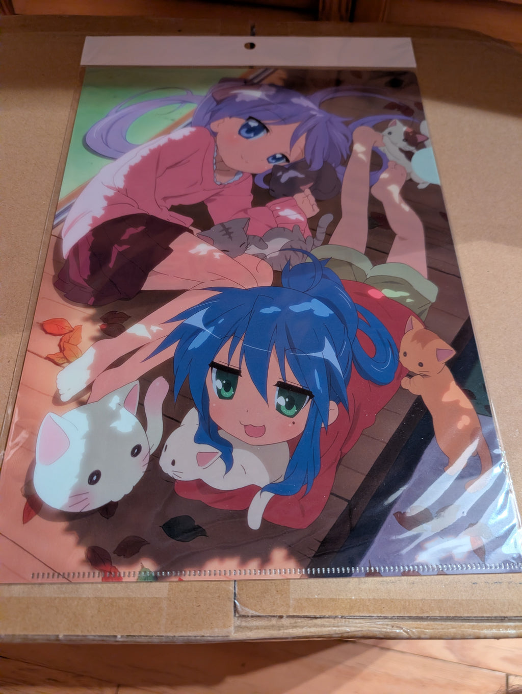Lucky☆Star - Hiiragi Kagami - Izumi Konata - Clear File - Nesoberi (M's, Matsumoto Shouji)