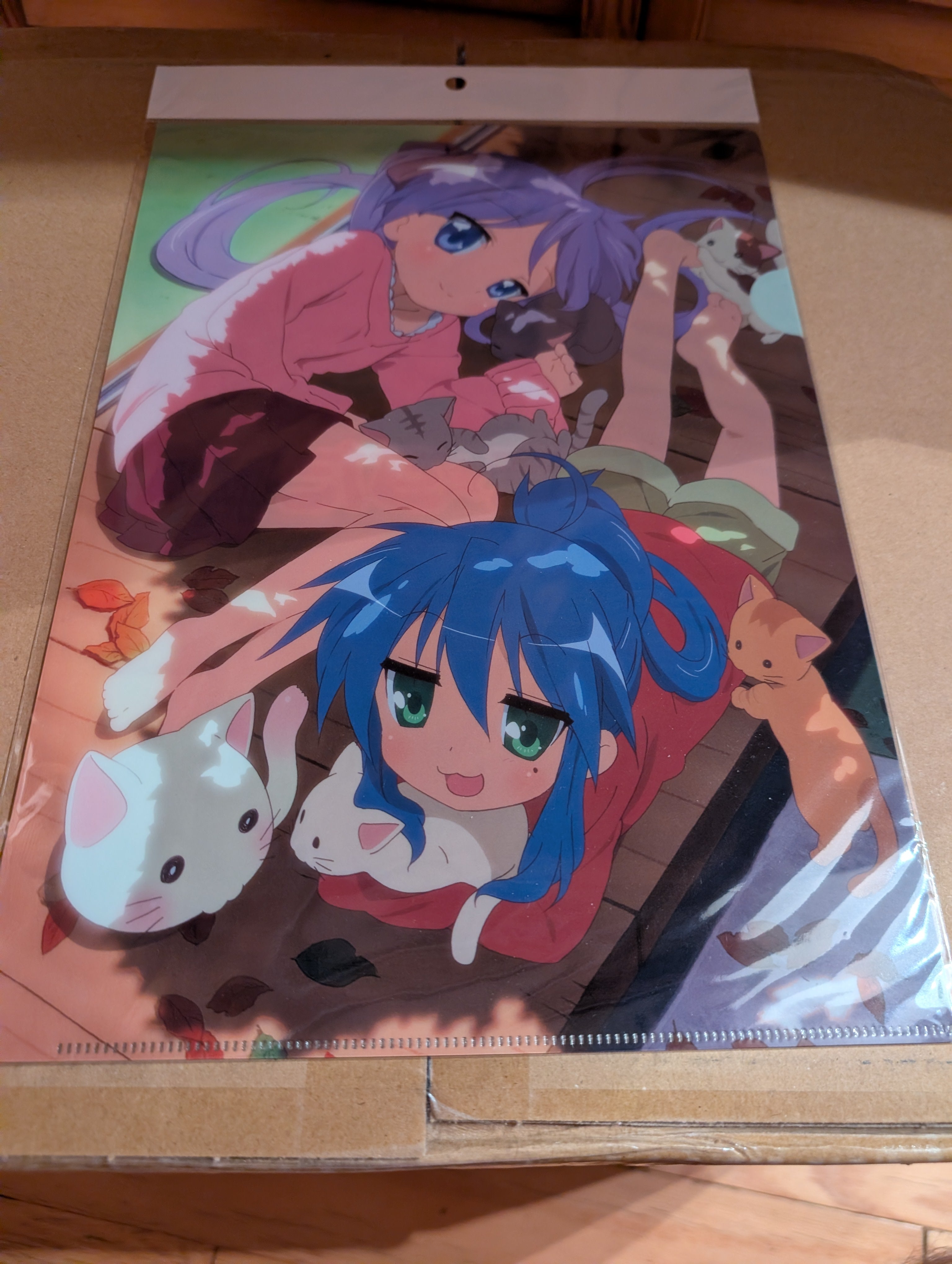Lucky☆Star - Hiiragi Kagami - Izumi Konata - Clear File - Nesoberi (M's, Matsumoto Shouji)