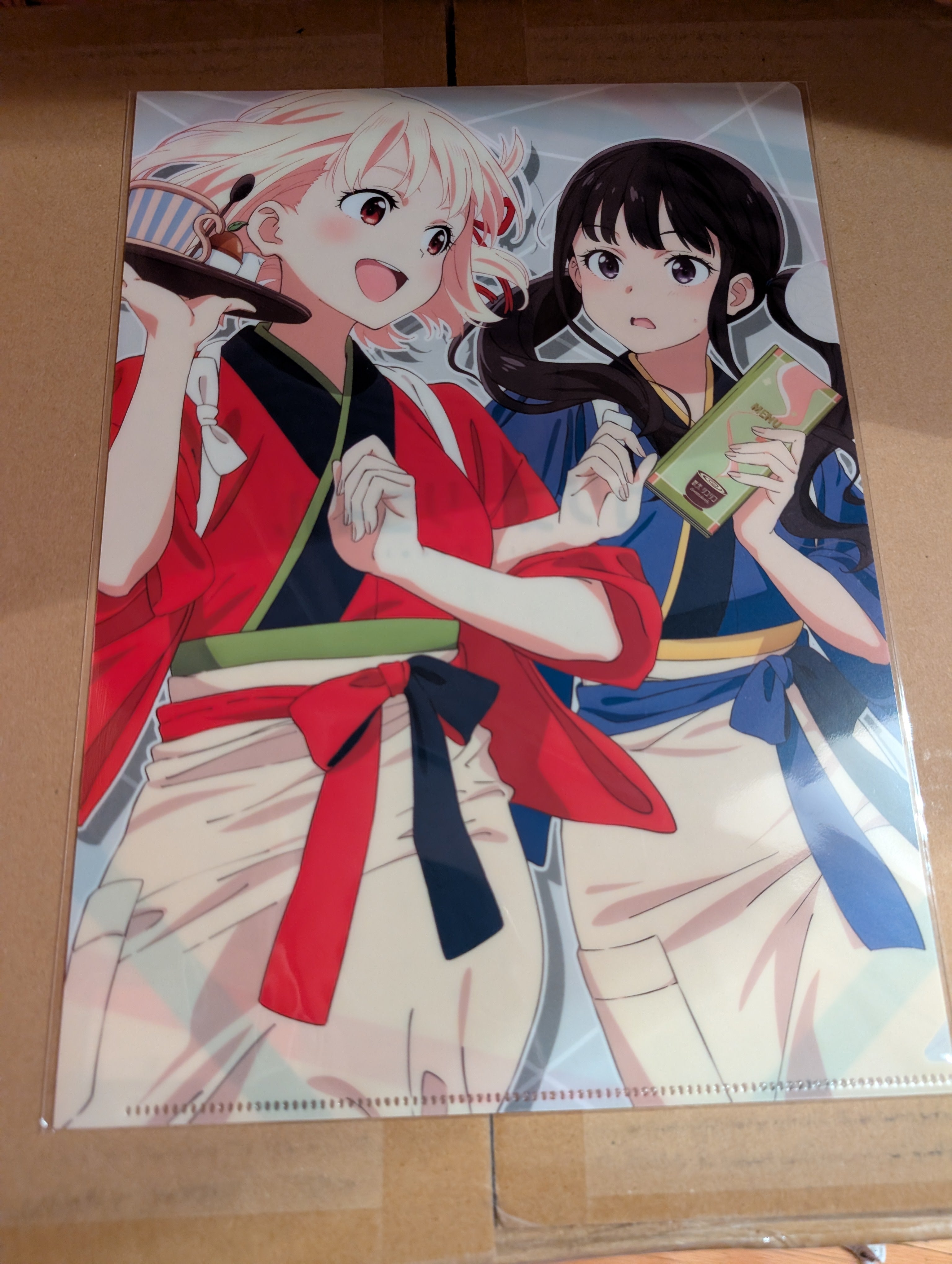 Lycoris Recoil - Inoue Takina - Nishikigi Chisato - Clear File (Movic) Lycoris Recoil - Inoue Takina - Nishikigi Chisato - Clear File